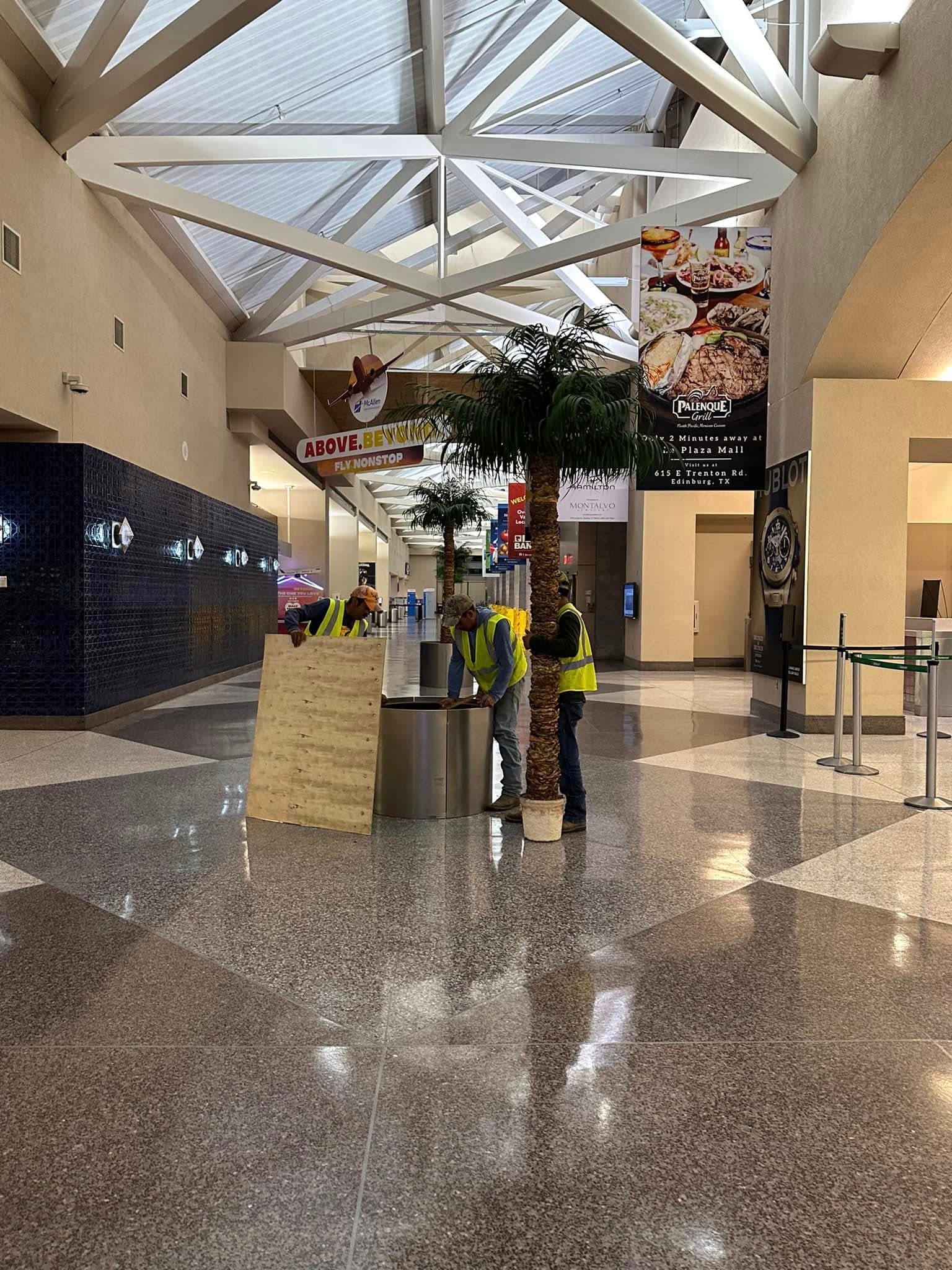 Commercial interior landscape installation at a major regional facility in South Texas by Southern Gardens