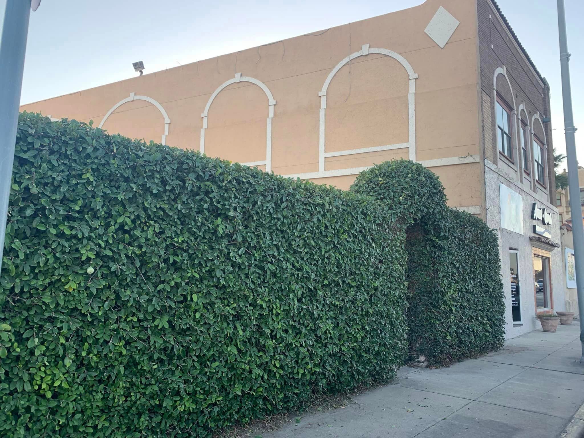 Sculpted commercial hedging and grounds care on a South Texas property
