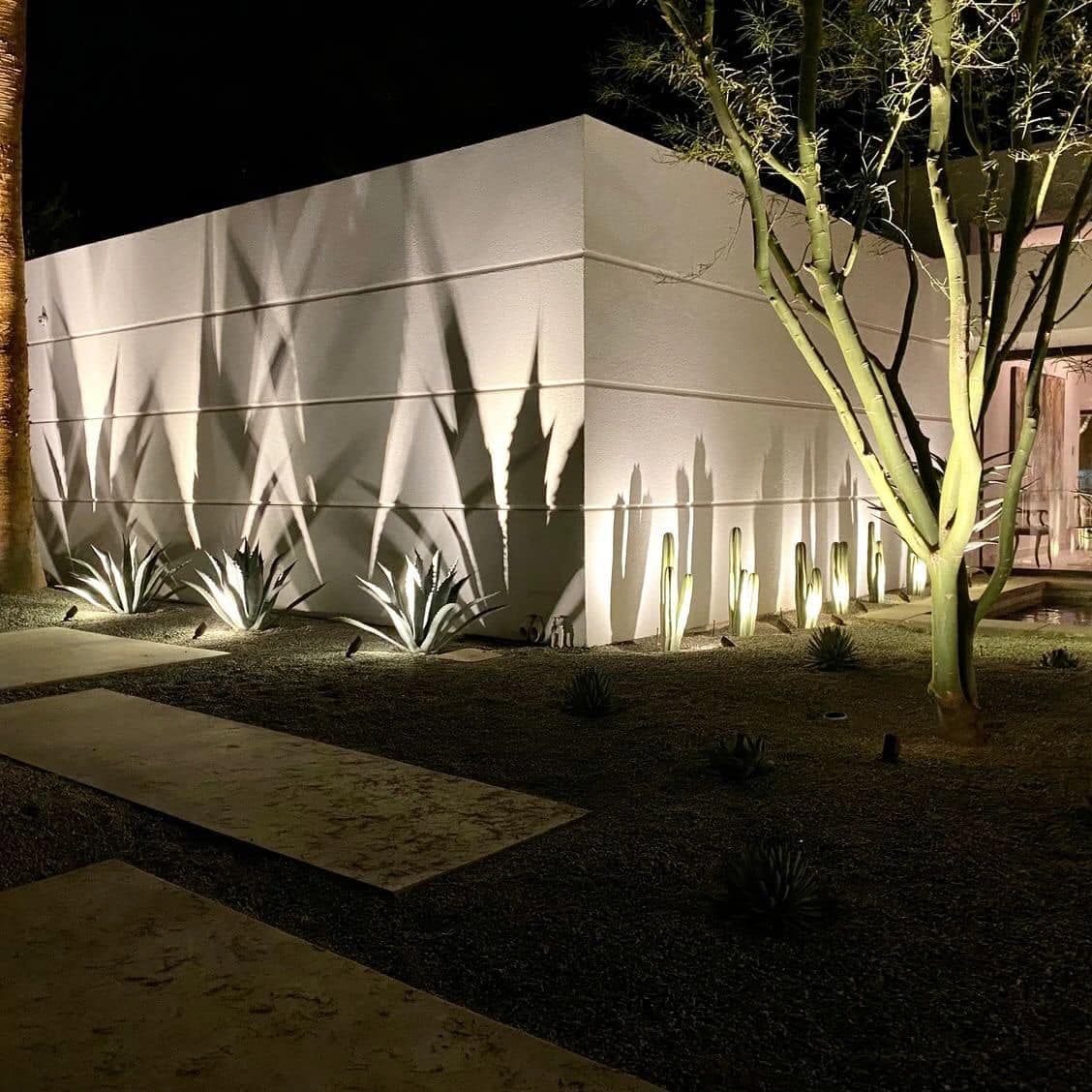 Agave and cactus uplighting casting shadows on a stucco facade at night